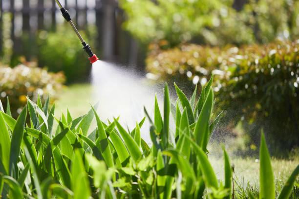 Tamper-Resistant Bait Stations for Rodents in Morenci
