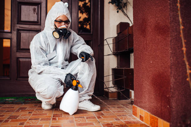 Attic and Crawl Space Rodent Treatment in Morenci